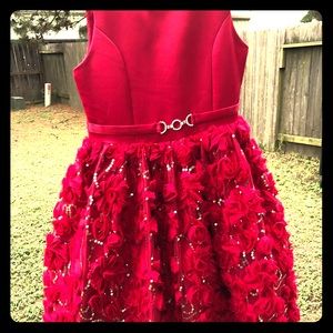 Holiday/Party Dress for little girl
